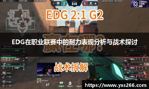 EDG在职业联赛中的耐力表现分析与战术探讨